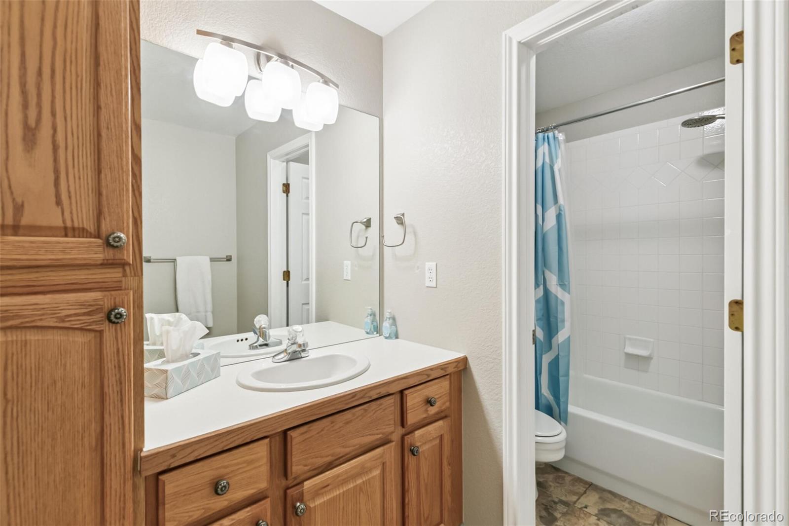 MLS Image #25 for 10414 w peakview place,littleton, Colorado