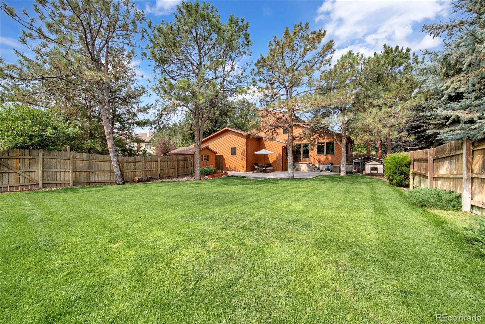 MLS Image #9 for 503  springdale road,sterling, Colorado