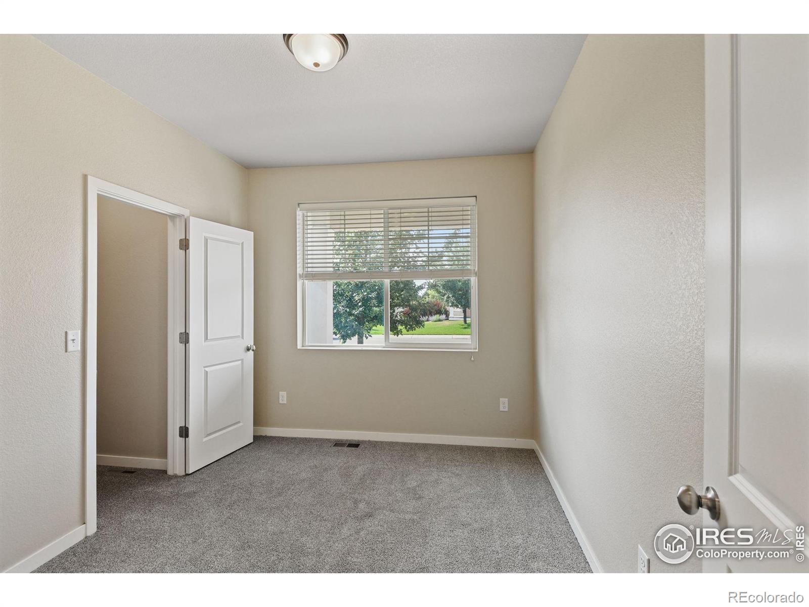 MLS Image #22 for 3858  peach street,wellington, Colorado