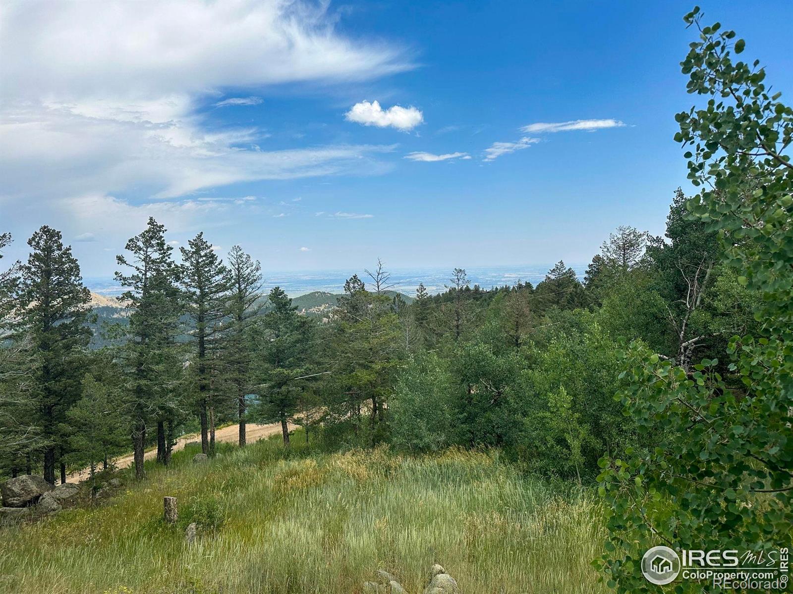 MLS Image #12 for 1575  deer trail road,boulder, Colorado