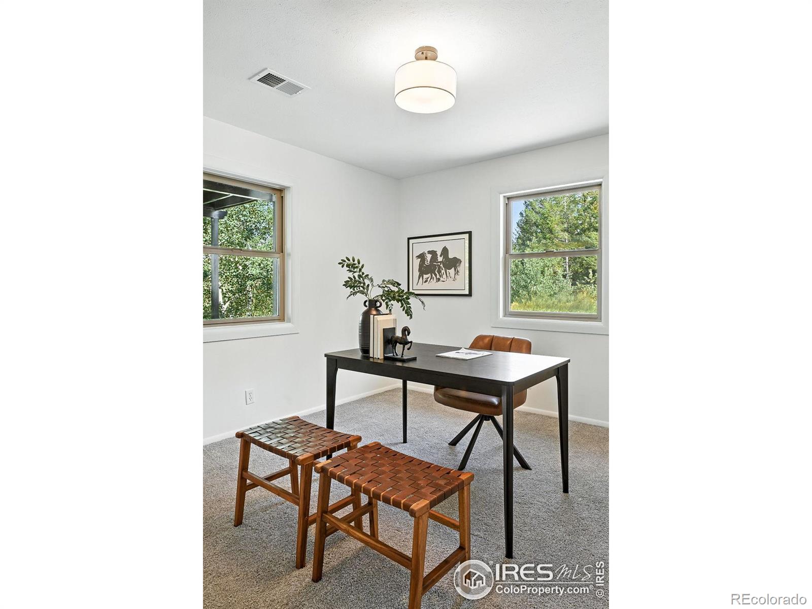 MLS Image #20 for 1575  deer trail road,boulder, Colorado