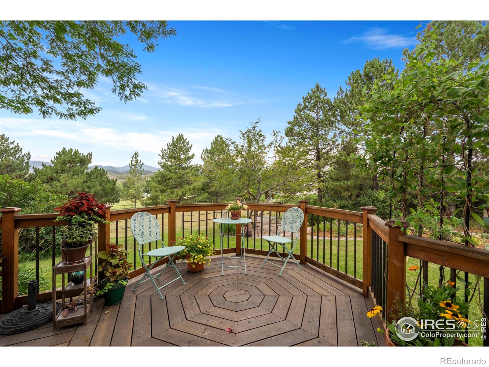 MLS Image #5 for 3316  moffat avenue,loveland, Colorado