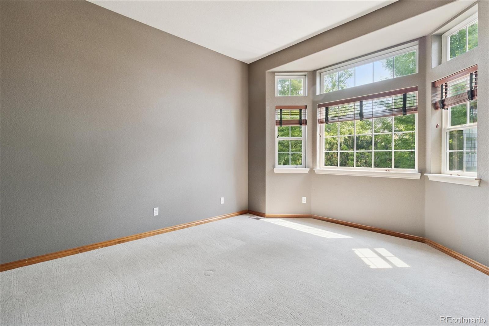 MLS Image #7 for 6371 s rifle street,aurora, Colorado