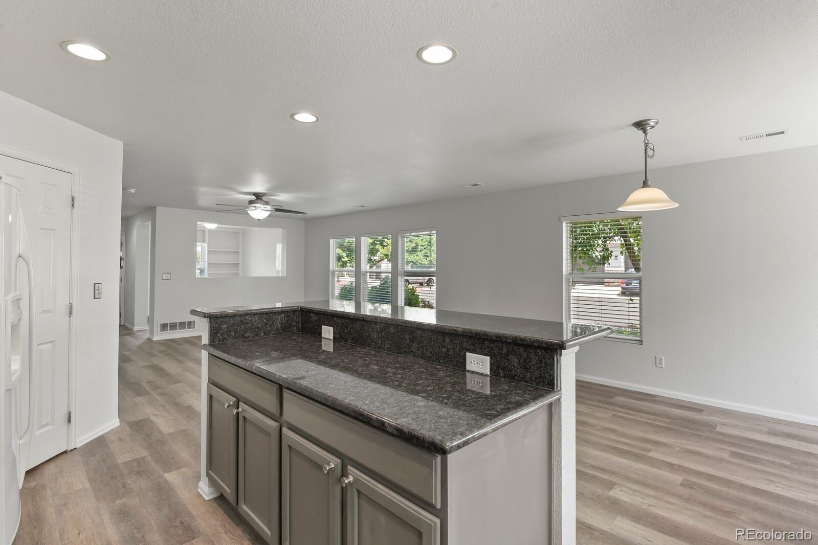 MLS Image #10 for 17254  lark water lane,parker, Colorado