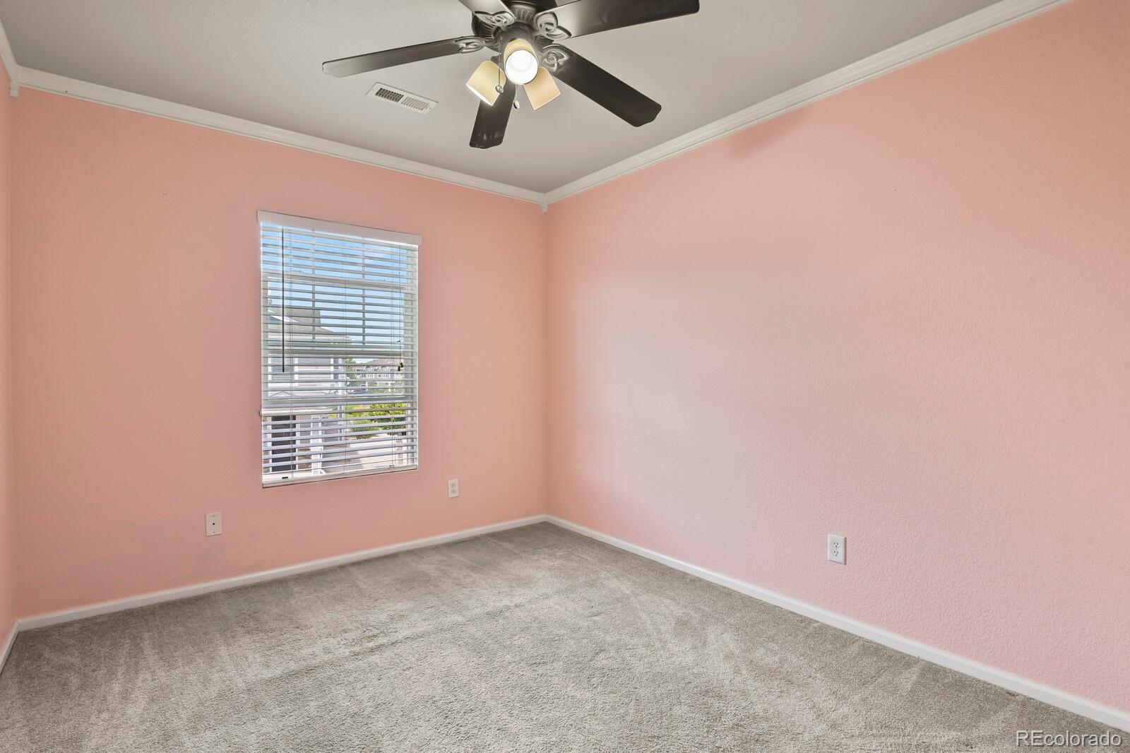 MLS Image #20 for 17254  lark water lane,parker, Colorado