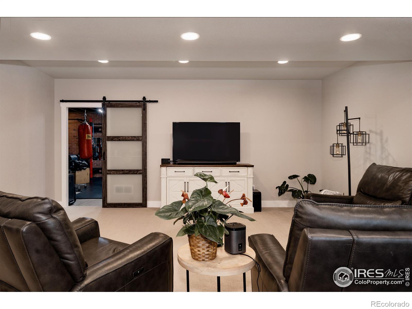 MLS Image #24 for 524  vermilion peak drive,windsor, Colorado