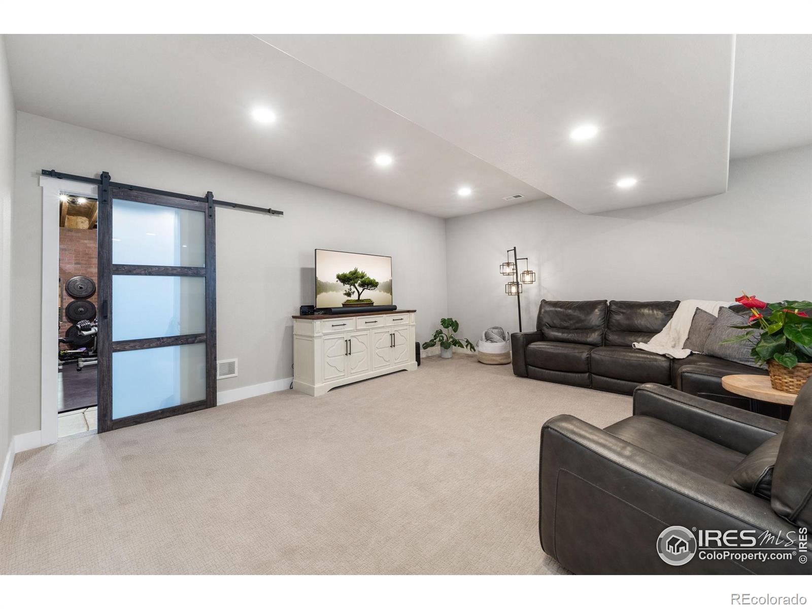 MLS Image #26 for 524  vermilion peak drive,windsor, Colorado
