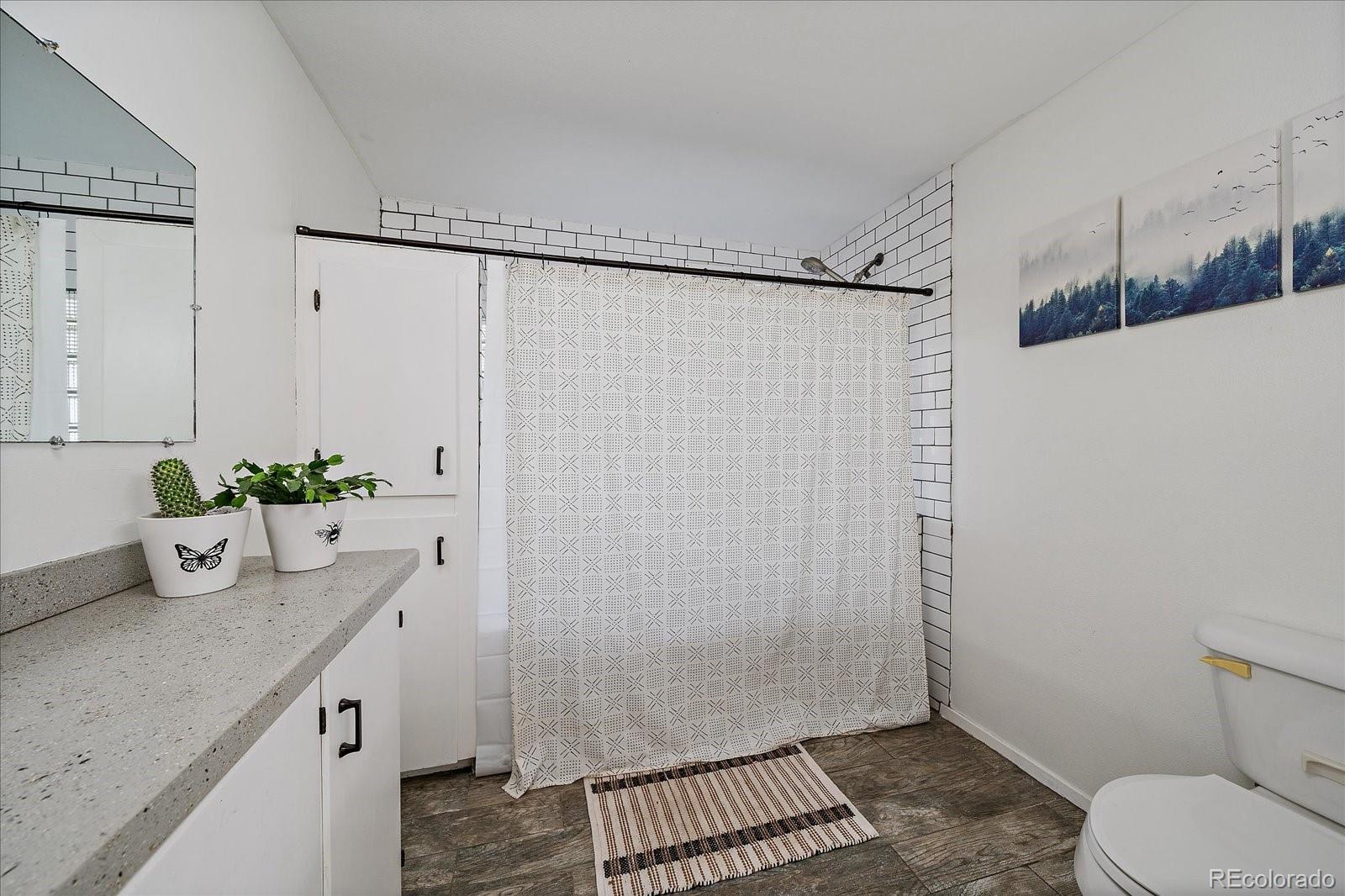 MLS Image #16 for 25524 n turkey creek road,evergreen, Colorado