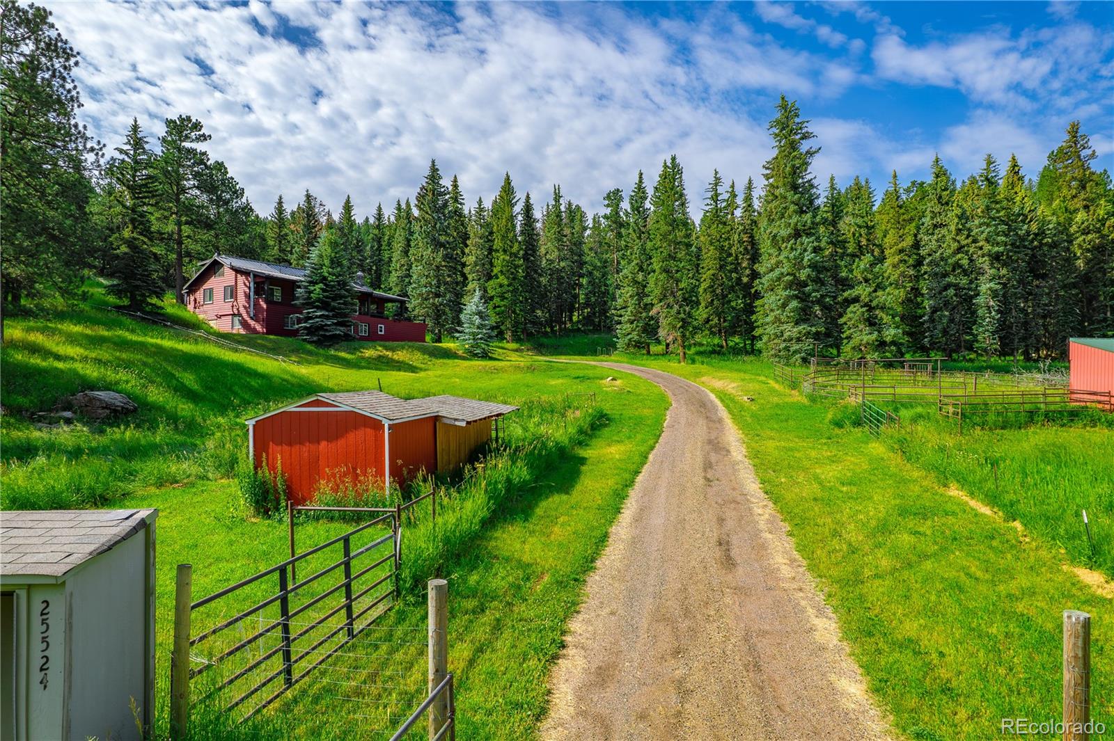 MLS Image #2 for 25524 n turkey creek road,evergreen, Colorado