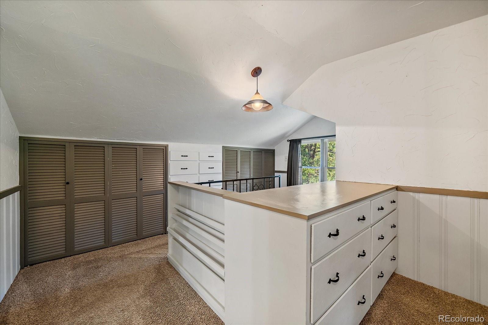 MLS Image #23 for 25524 n turkey creek road,evergreen, Colorado
