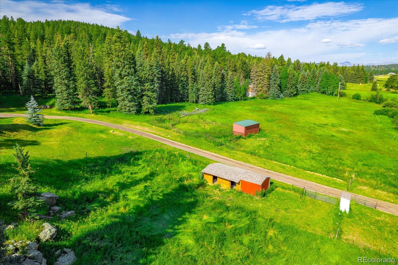 MLS Image #42 for 25524 n turkey creek road,evergreen, Colorado
