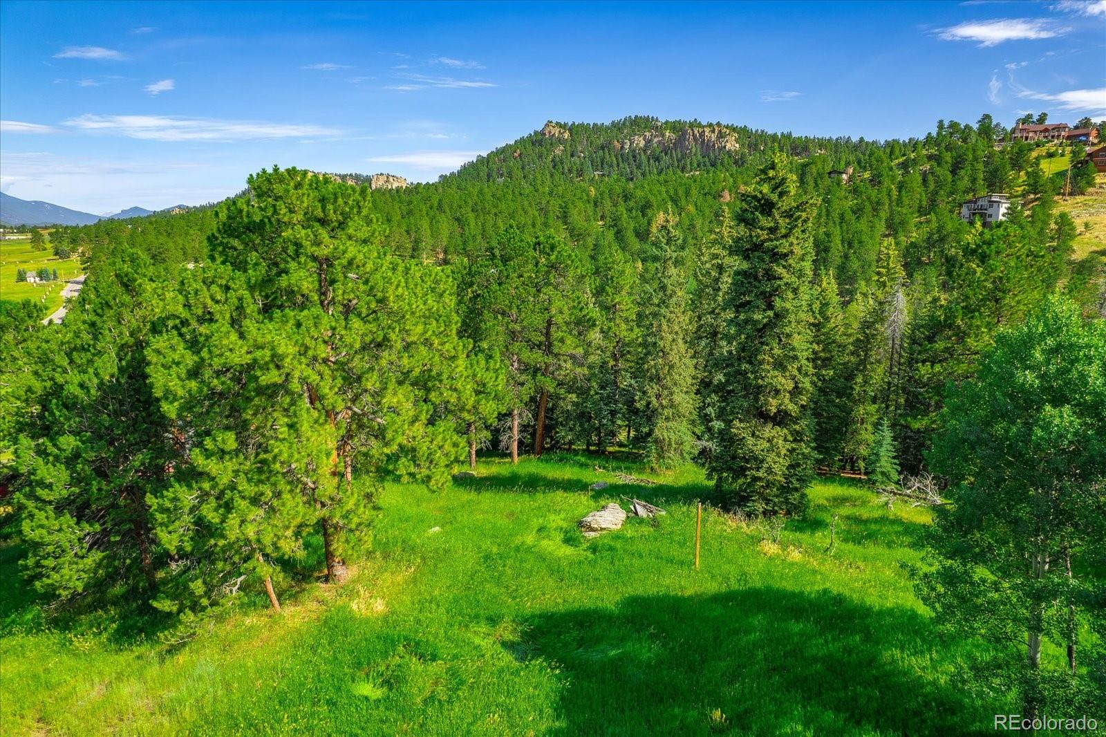 MLS Image #45 for 25524 n turkey creek road,evergreen, Colorado