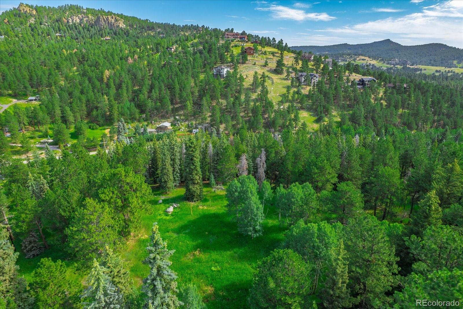 MLS Image #49 for 25524 n turkey creek road,evergreen, Colorado