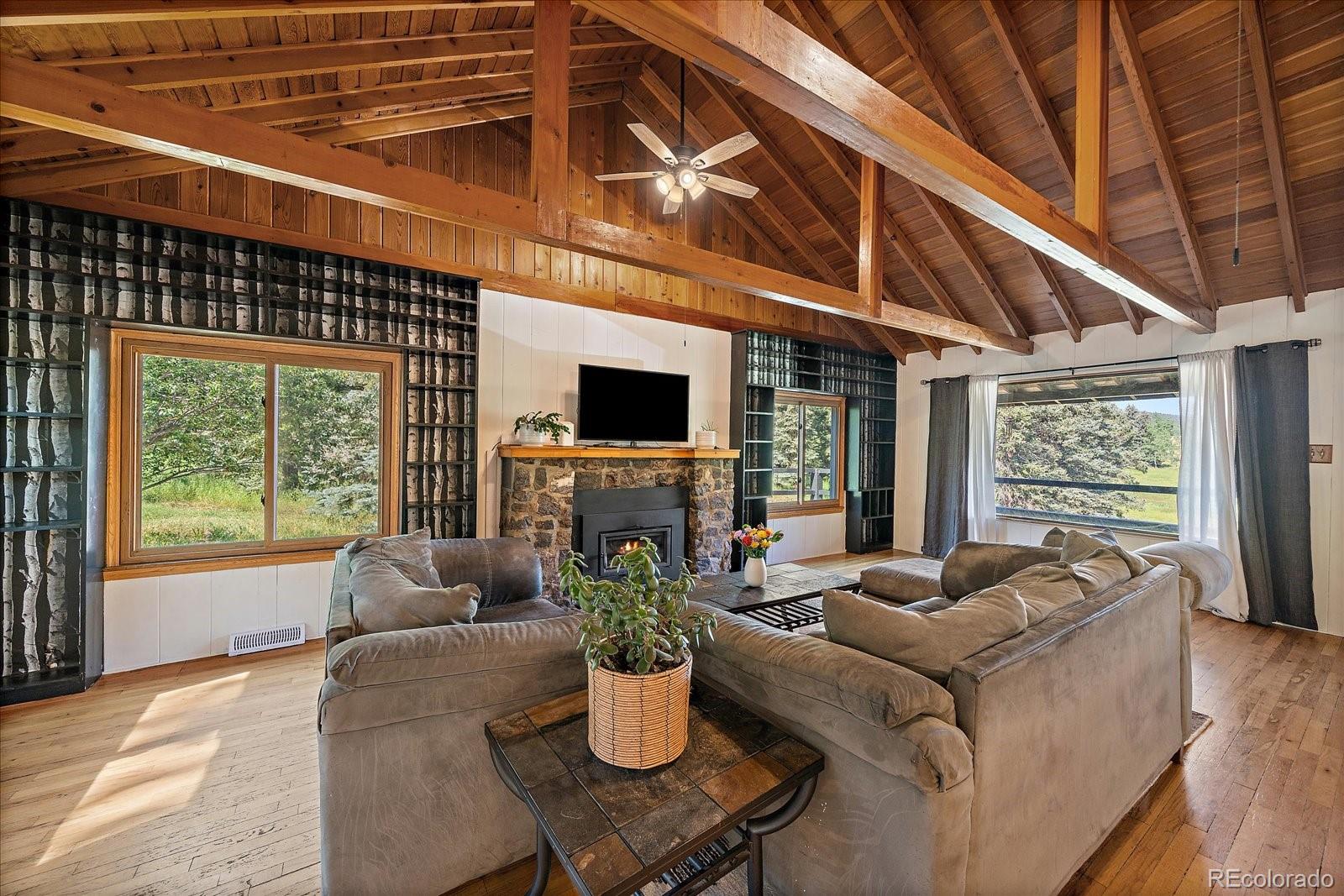 MLS Image #7 for 25524 n turkey creek road,evergreen, Colorado