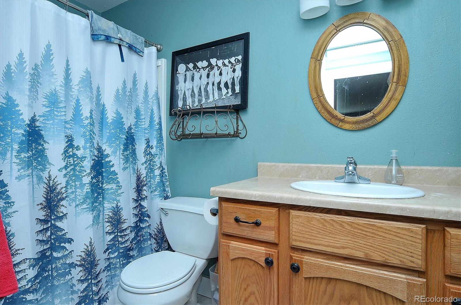 MLS Image #15 for 170  larissa lane,buena vista, Colorado