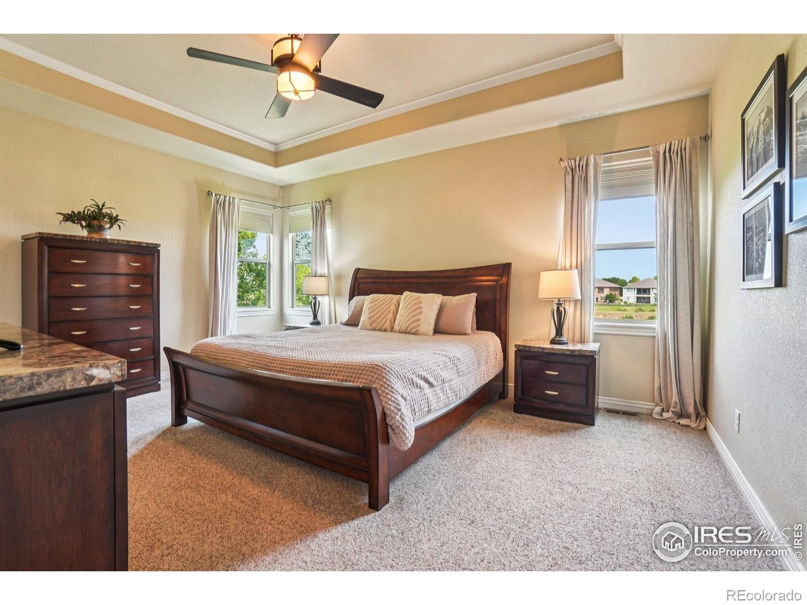 MLS Image #13 for 8736  blackwood drive,windsor, Colorado