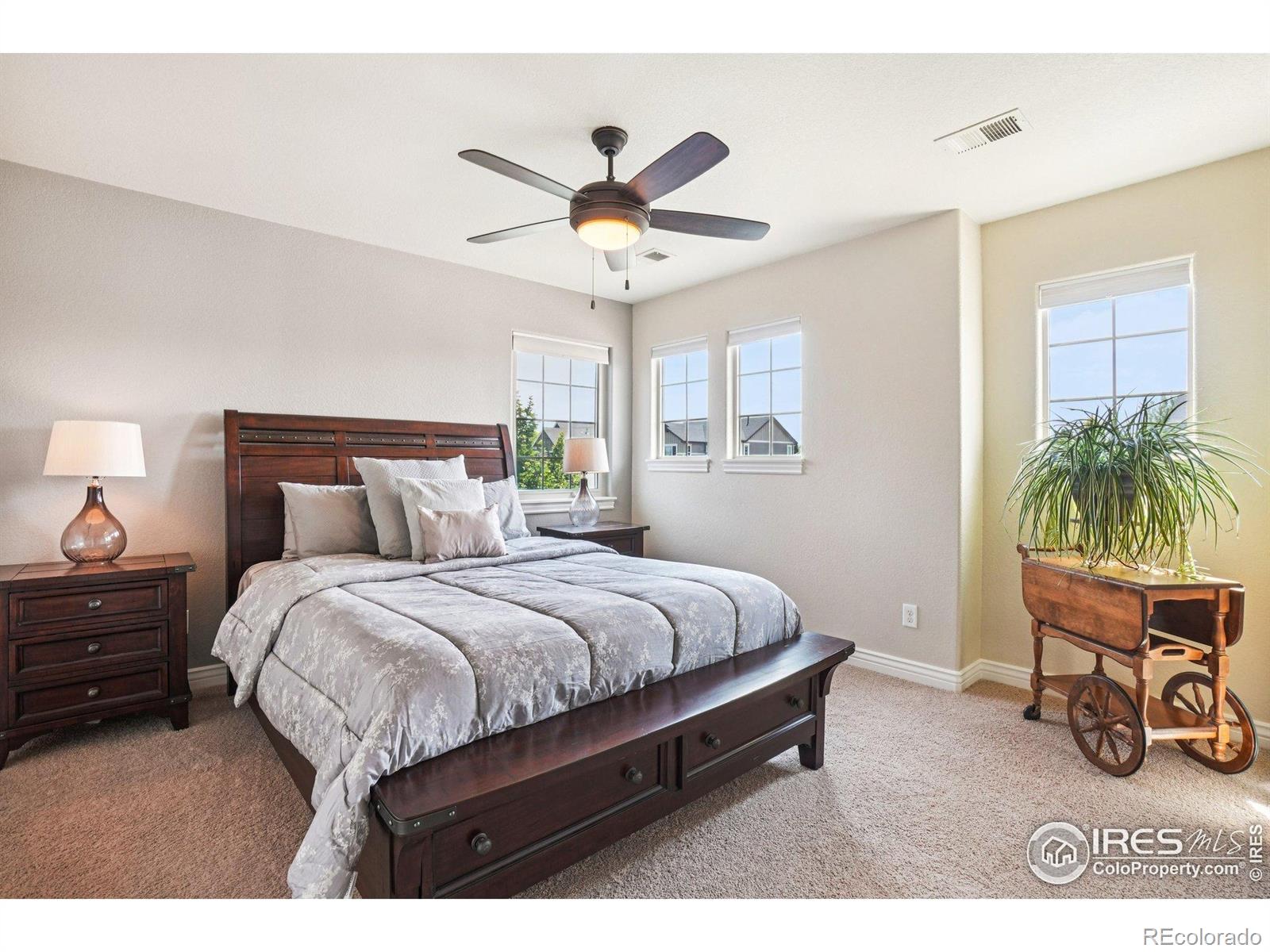 MLS Image #20 for 8736  blackwood drive,windsor, Colorado