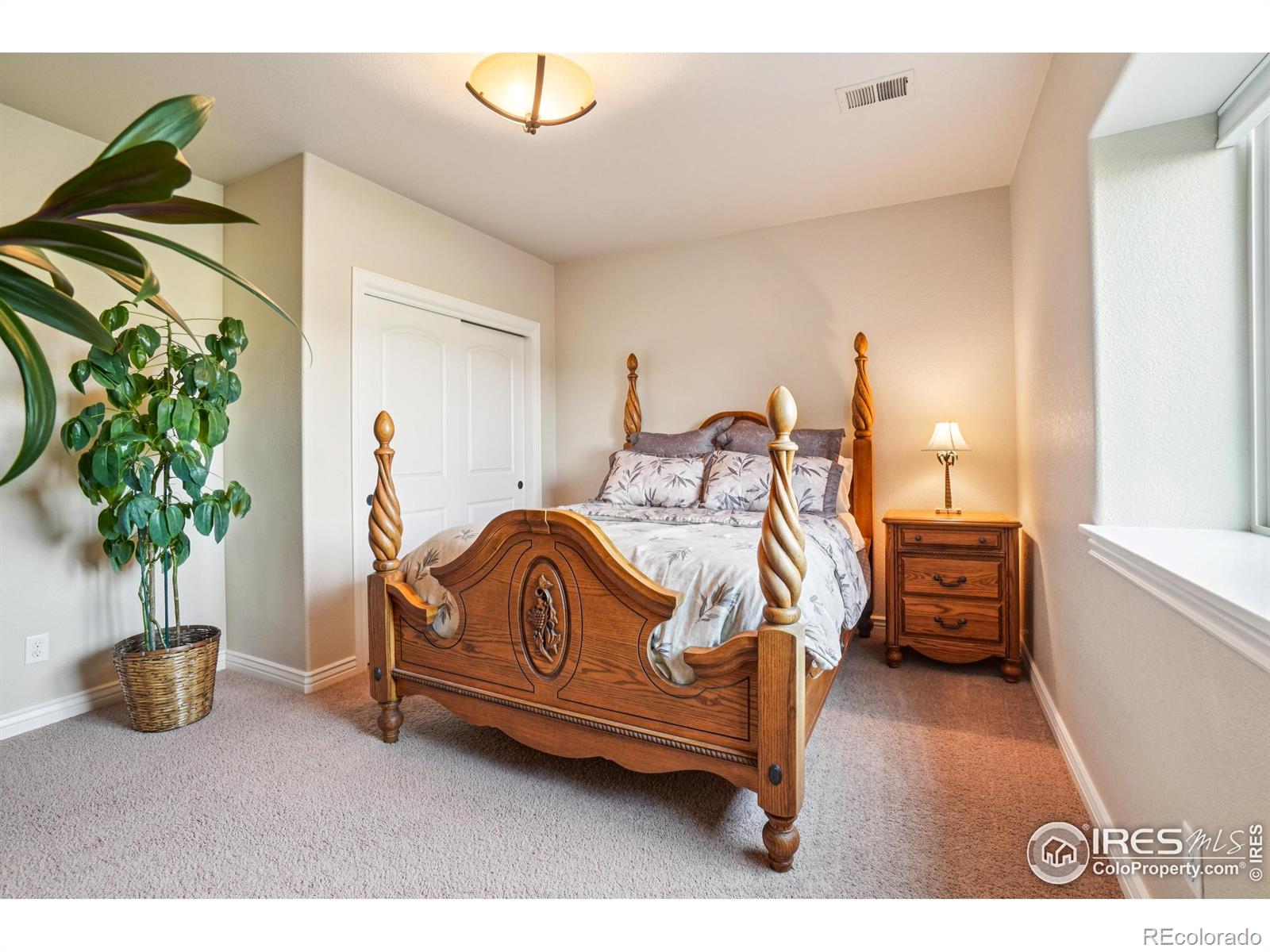 MLS Image #27 for 8736  blackwood drive,windsor, Colorado