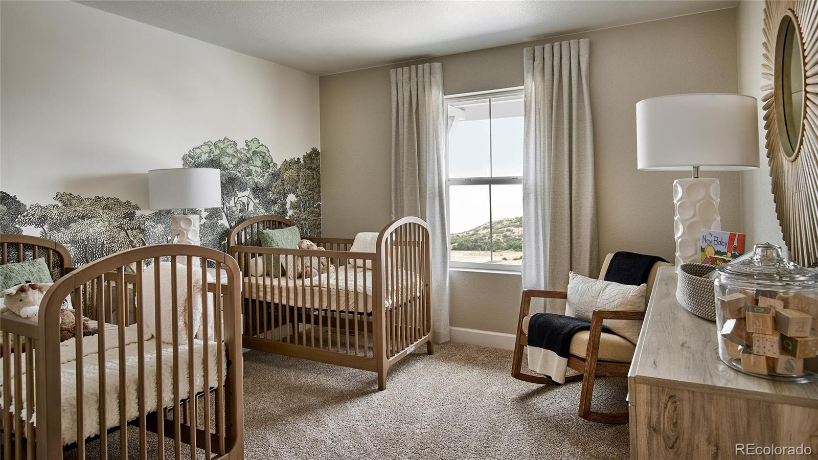 MLS Image #16 for 4297  ridgewalk point,castle rock, Colorado