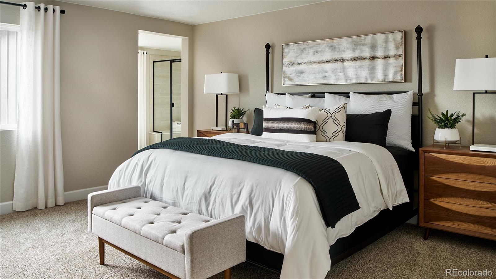 MLS Image #19 for 4297  ridgewalk point,castle rock, Colorado