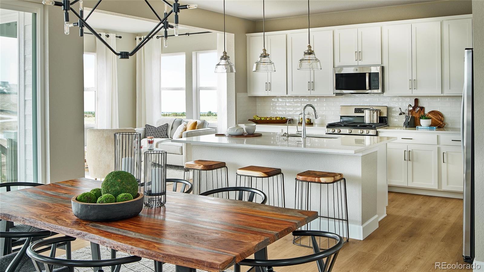 MLS Image #6 for 4297  ridgewalk point,castle rock, Colorado