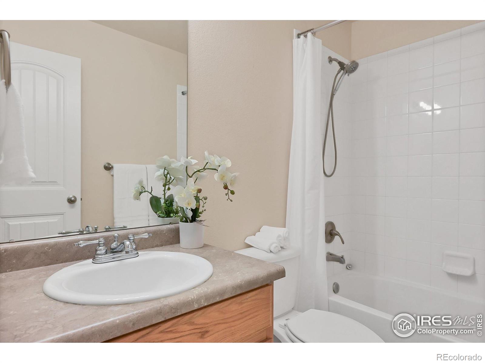 MLS Image #9 for 988  boise avenue,loveland, Colorado