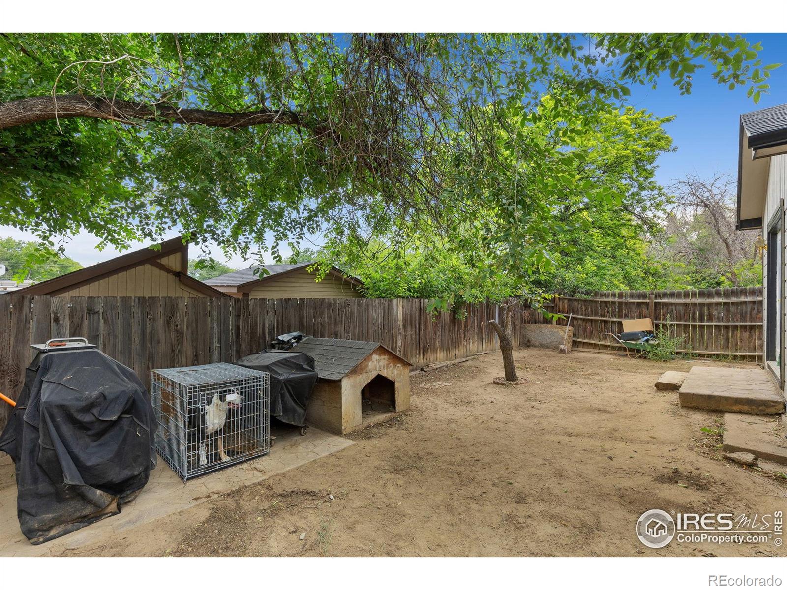 MLS Image #19 for 247  wadsworth circle,longmont, Colorado