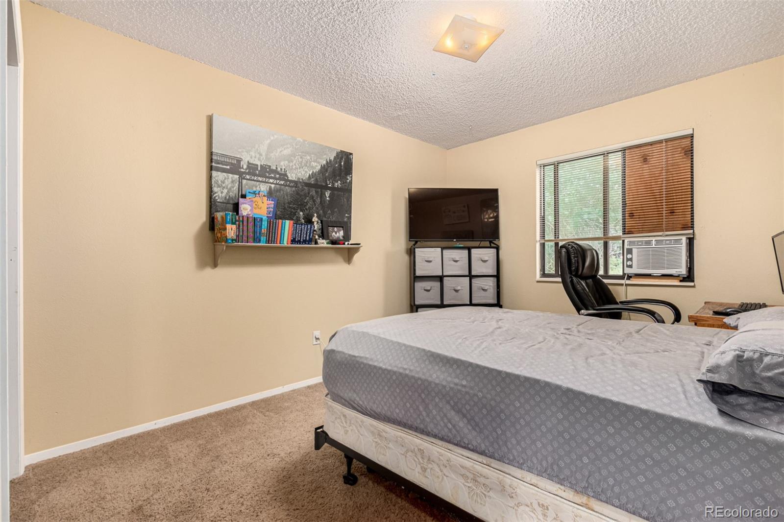 MLS Image #11 for 1420 s sierra drive,castle rock, Colorado