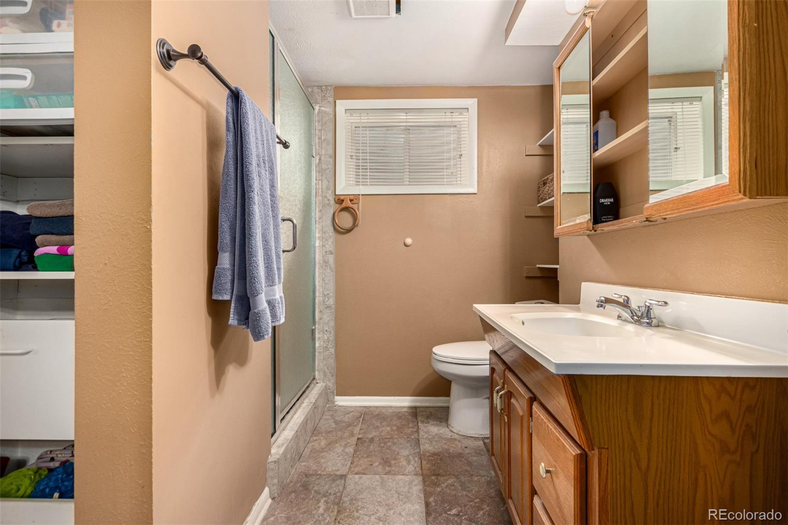 MLS Image #17 for 1420 s sierra drive,castle rock, Colorado