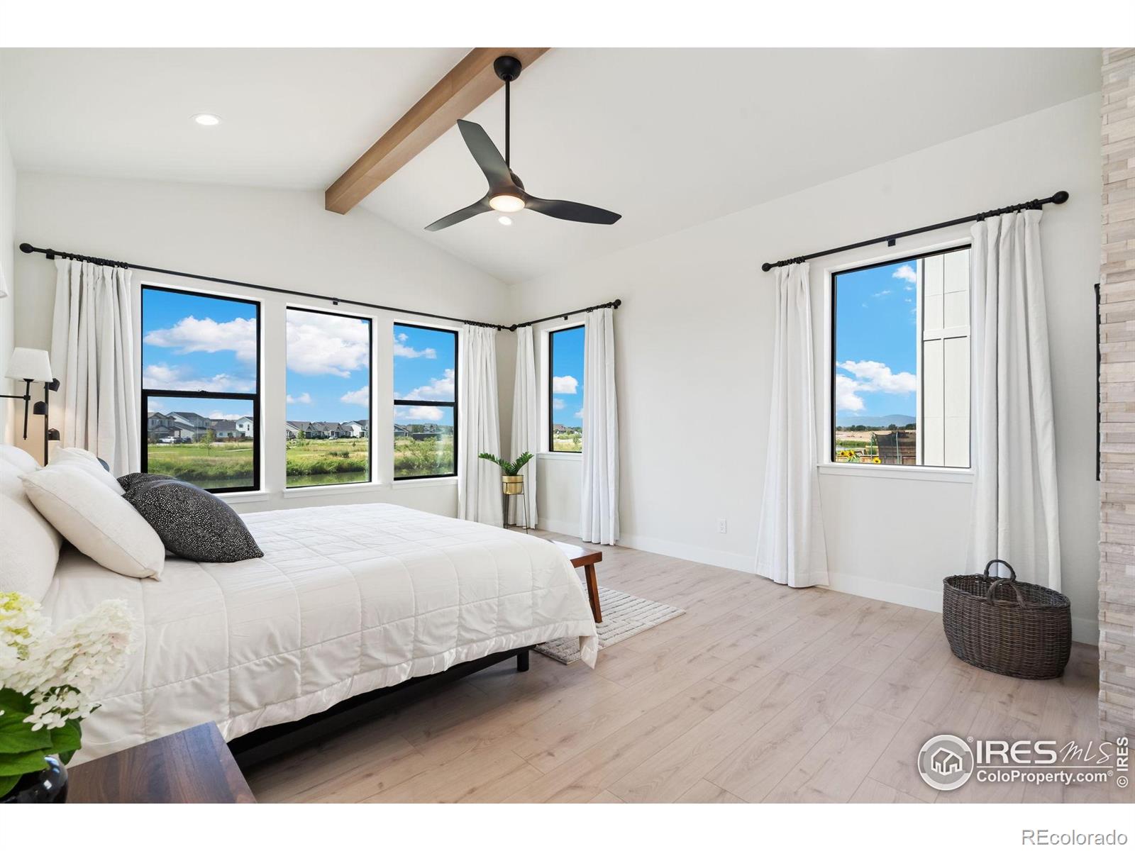 MLS Image #13 for 261  cornelia drive,windsor, Colorado