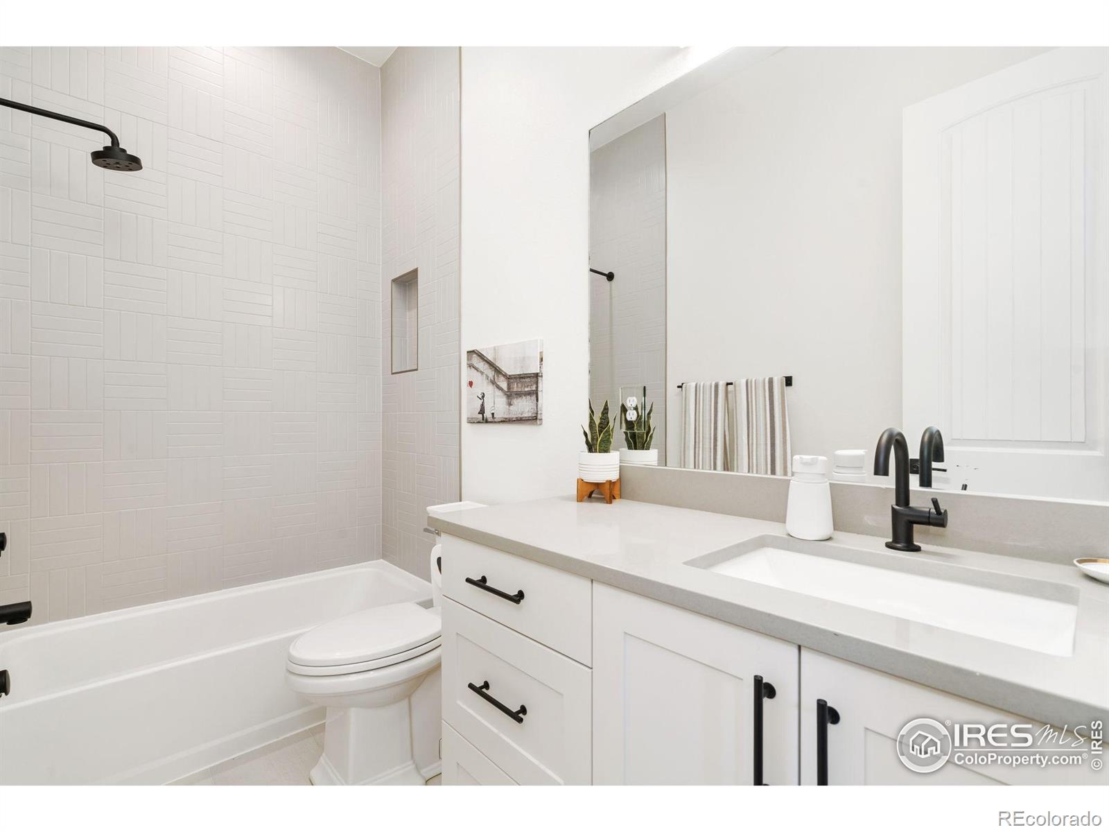 MLS Image #20 for 261  cornelia drive,windsor, Colorado