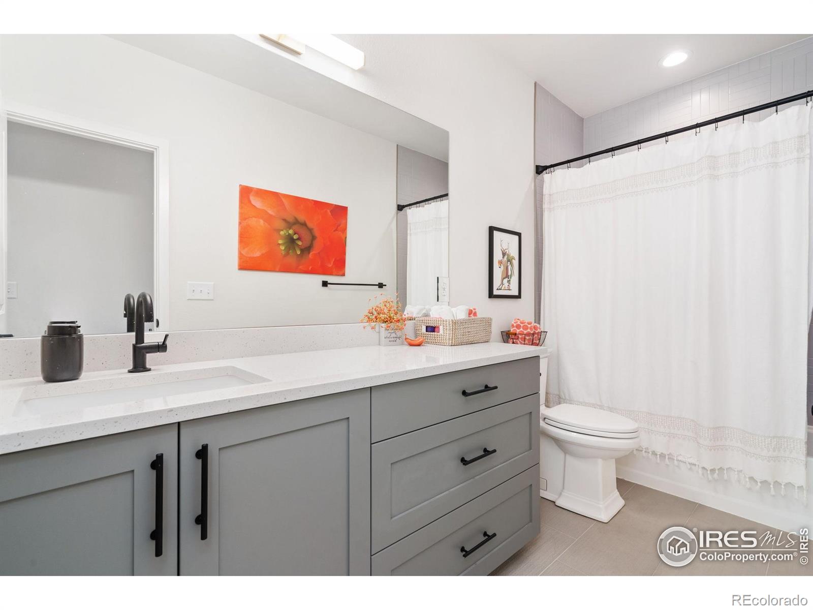 MLS Image #29 for 261  cornelia drive,windsor, Colorado