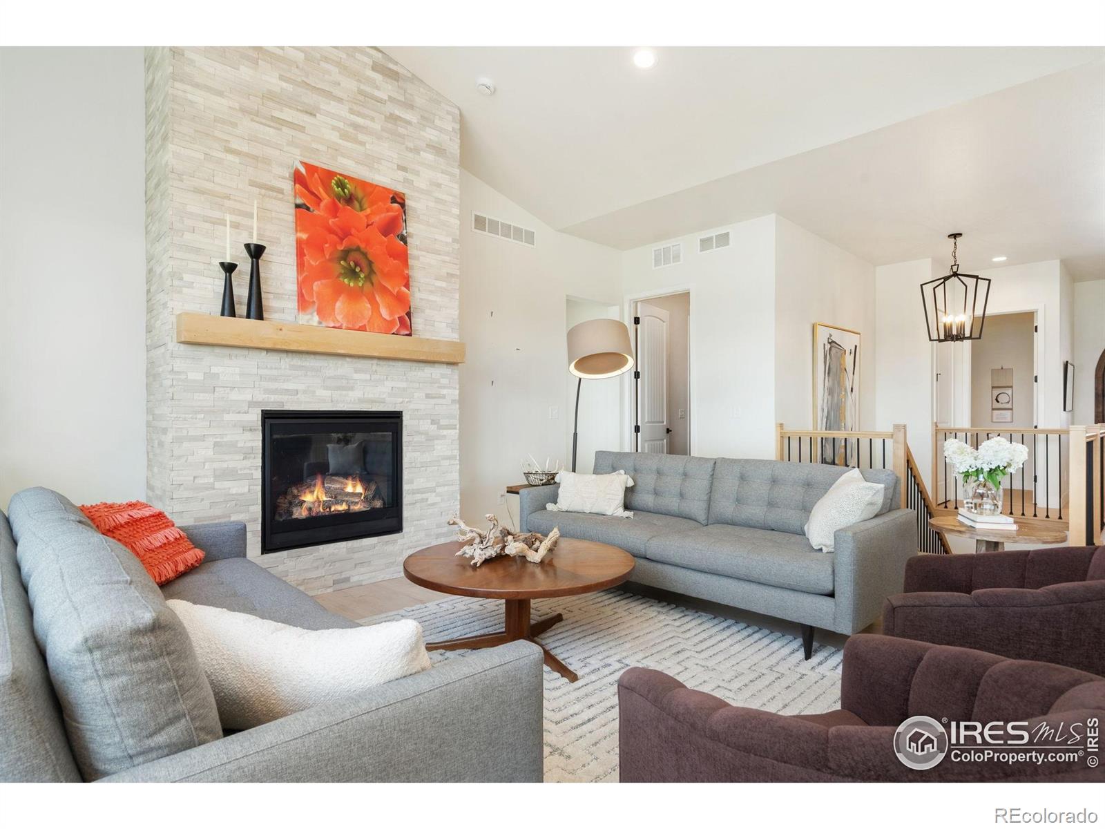 MLS Image #5 for 261  cornelia drive,windsor, Colorado
