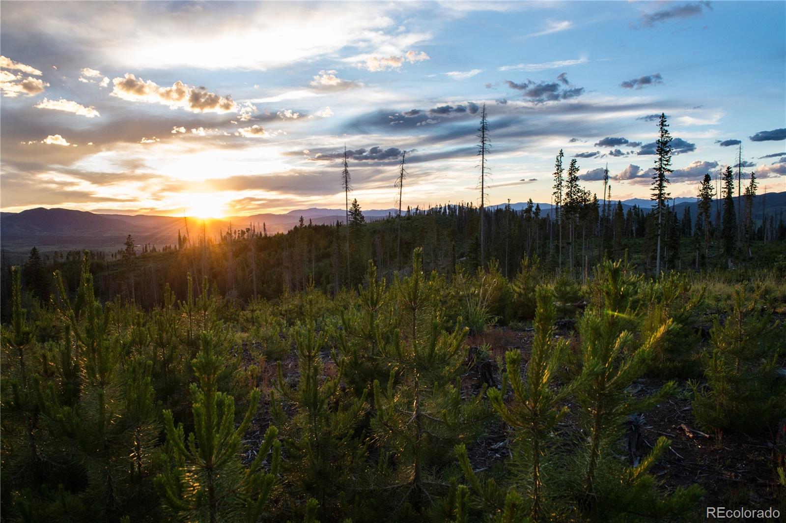 MLS Image #44 for 1217  gcr 8344/bryant blvd ,fraser, Colorado