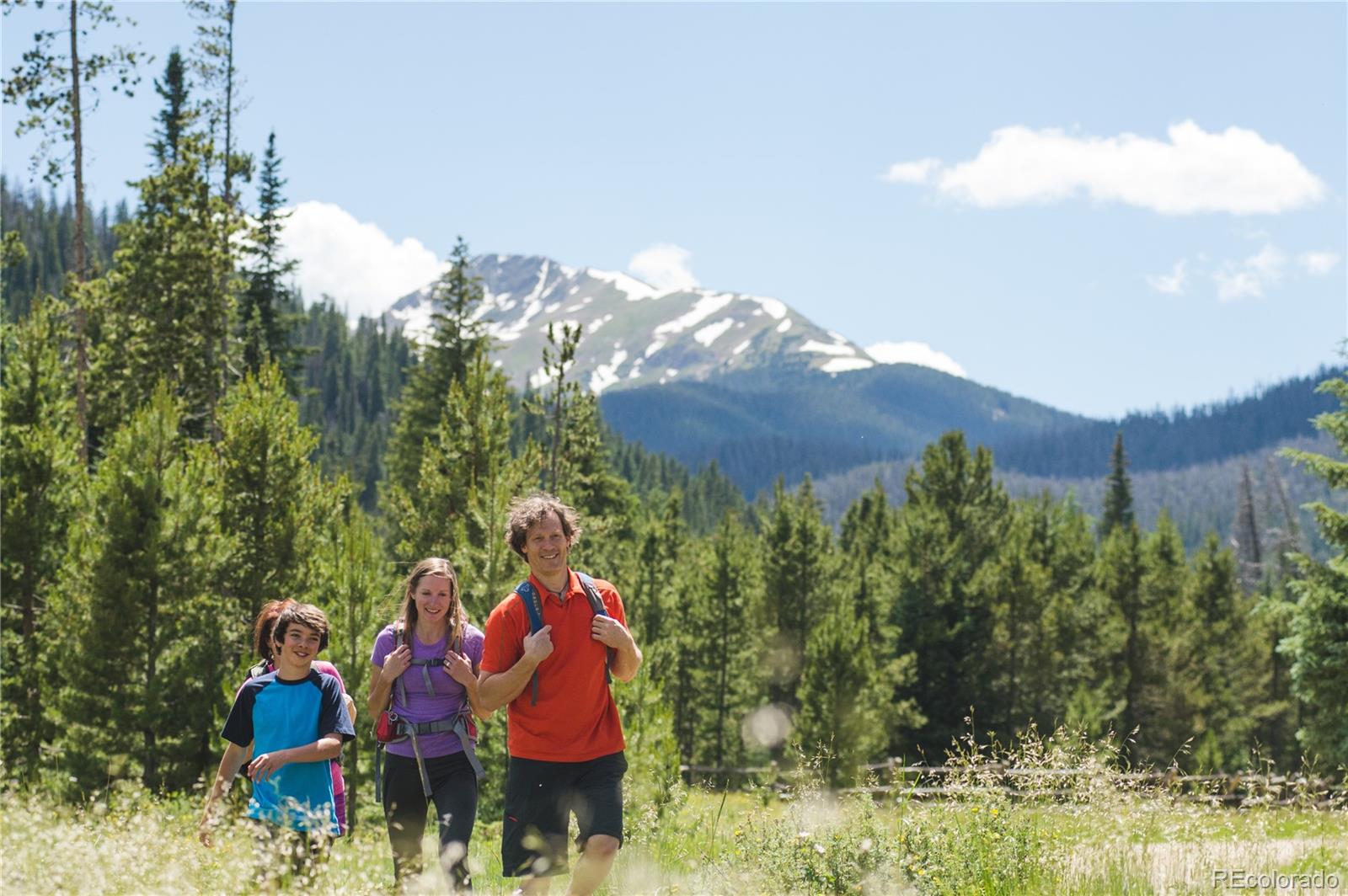 MLS Image #47 for 1217  gcr 8344/bryant blvd ,fraser, Colorado