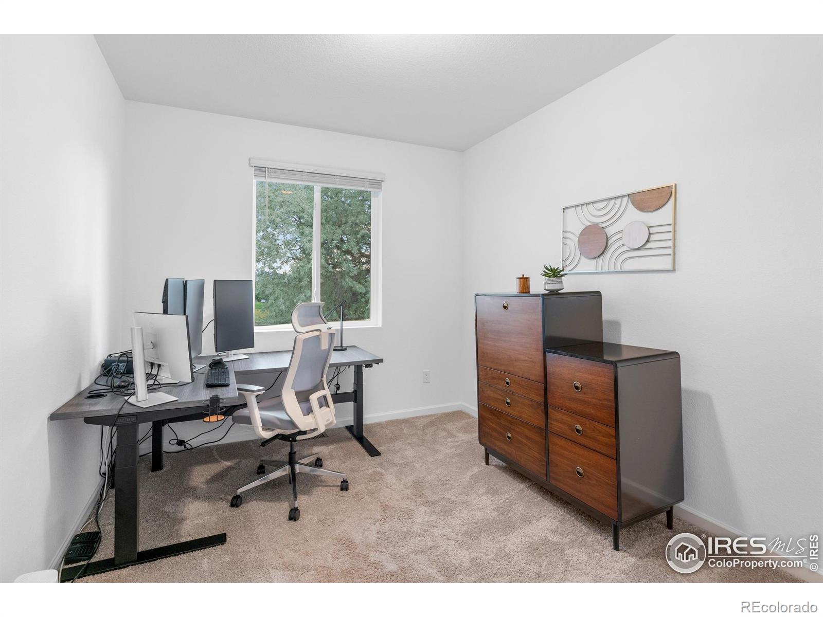 MLS Image #18 for 1602  dancing cattail drive,fort collins, Colorado