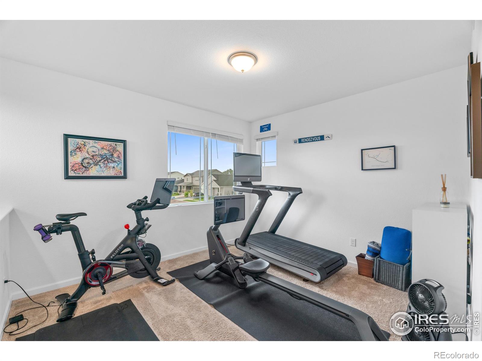 MLS Image #20 for 1602  dancing cattail drive,fort collins, Colorado