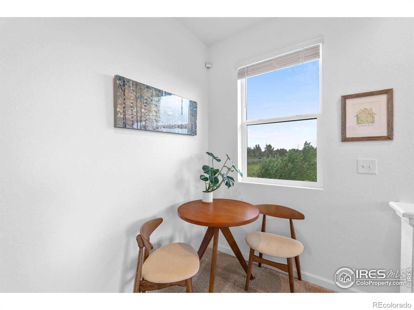 MLS Image #21 for 1602  dancing cattail drive,fort collins, Colorado