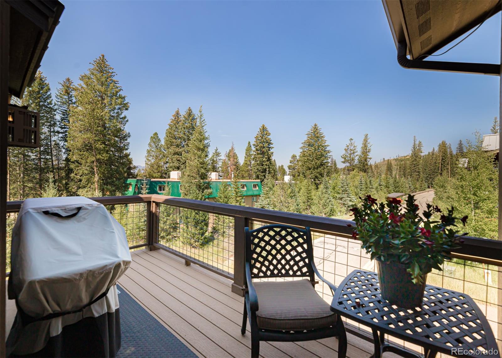 MLS Image #19 for 149  stagecoach way,fraser, Colorado