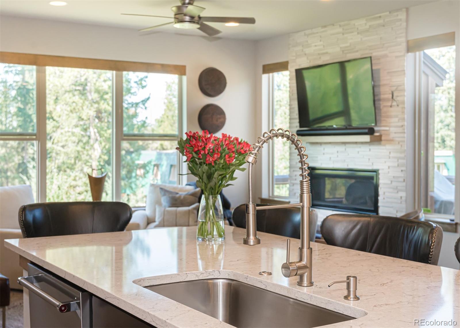 MLS Image #8 for 149  stagecoach way,fraser, Colorado