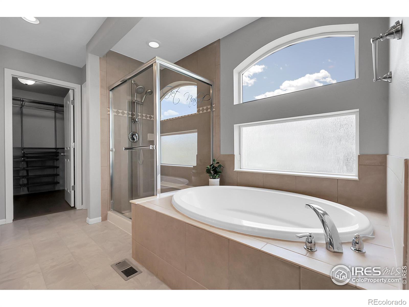 MLS Image #22 for 2354  cactus bloom court,castle rock, Colorado