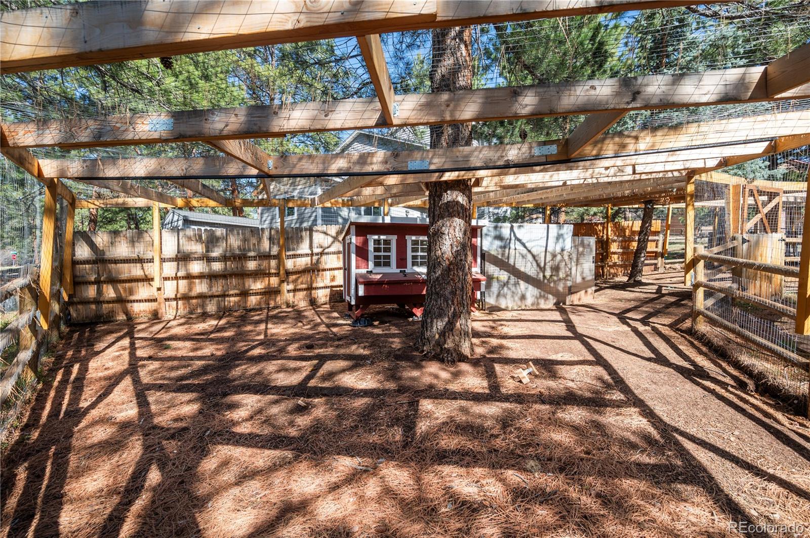 MLS Image #4 for 4185  red rock drive,larkspur, Colorado