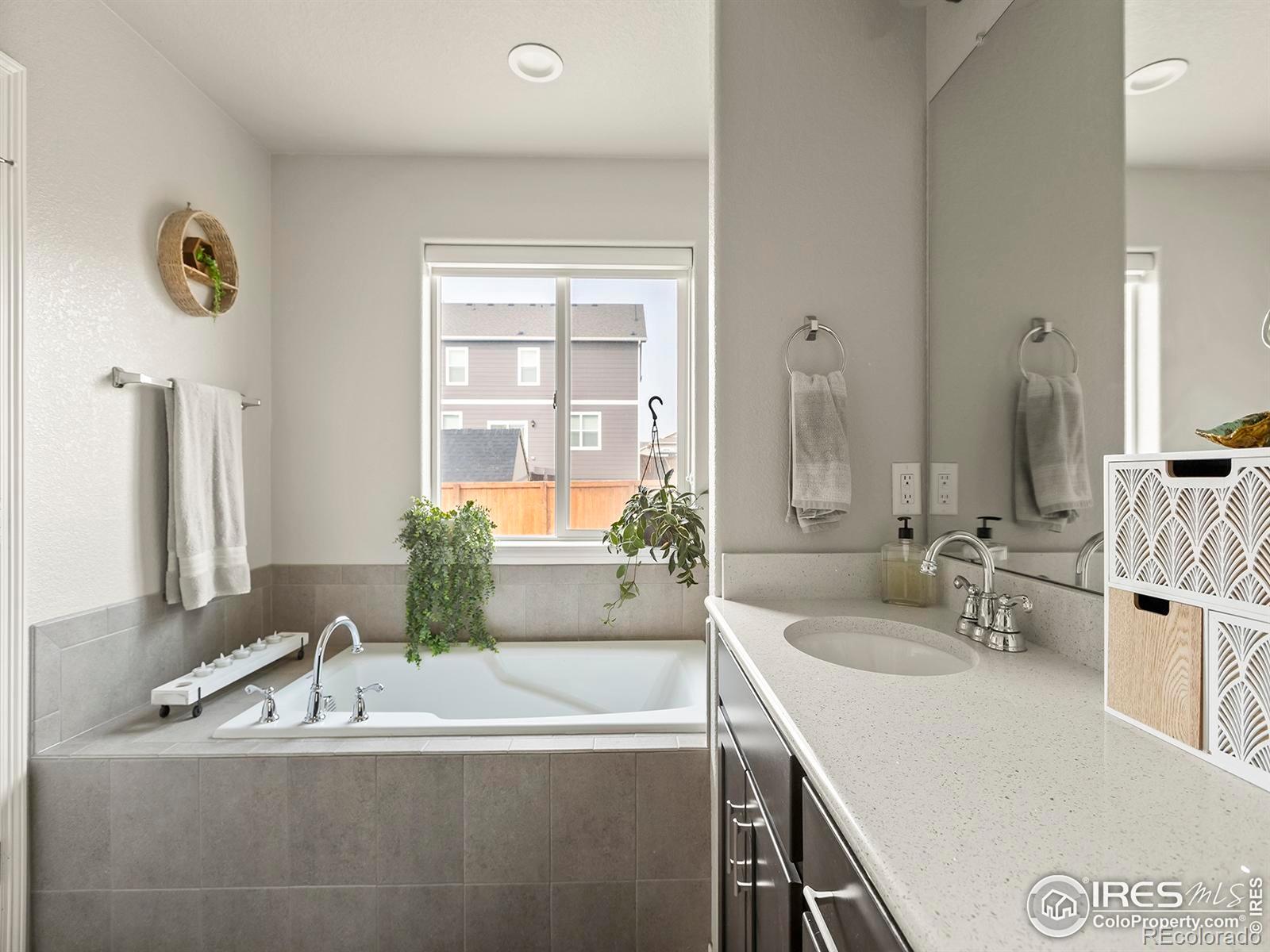 MLS Image #14 for 865  emerald lakes street,severance, Colorado