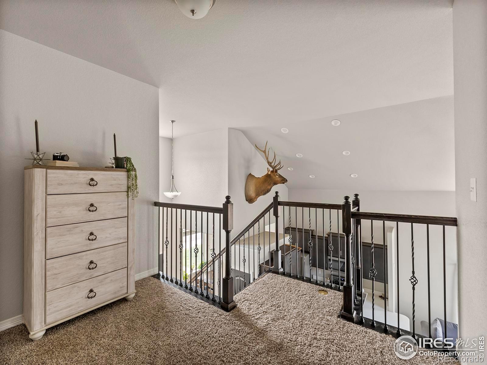 MLS Image #17 for 865  emerald lakes street,severance, Colorado