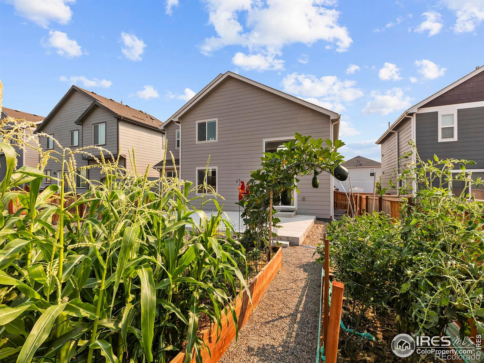 MLS Image #22 for 865  emerald lakes street,severance, Colorado