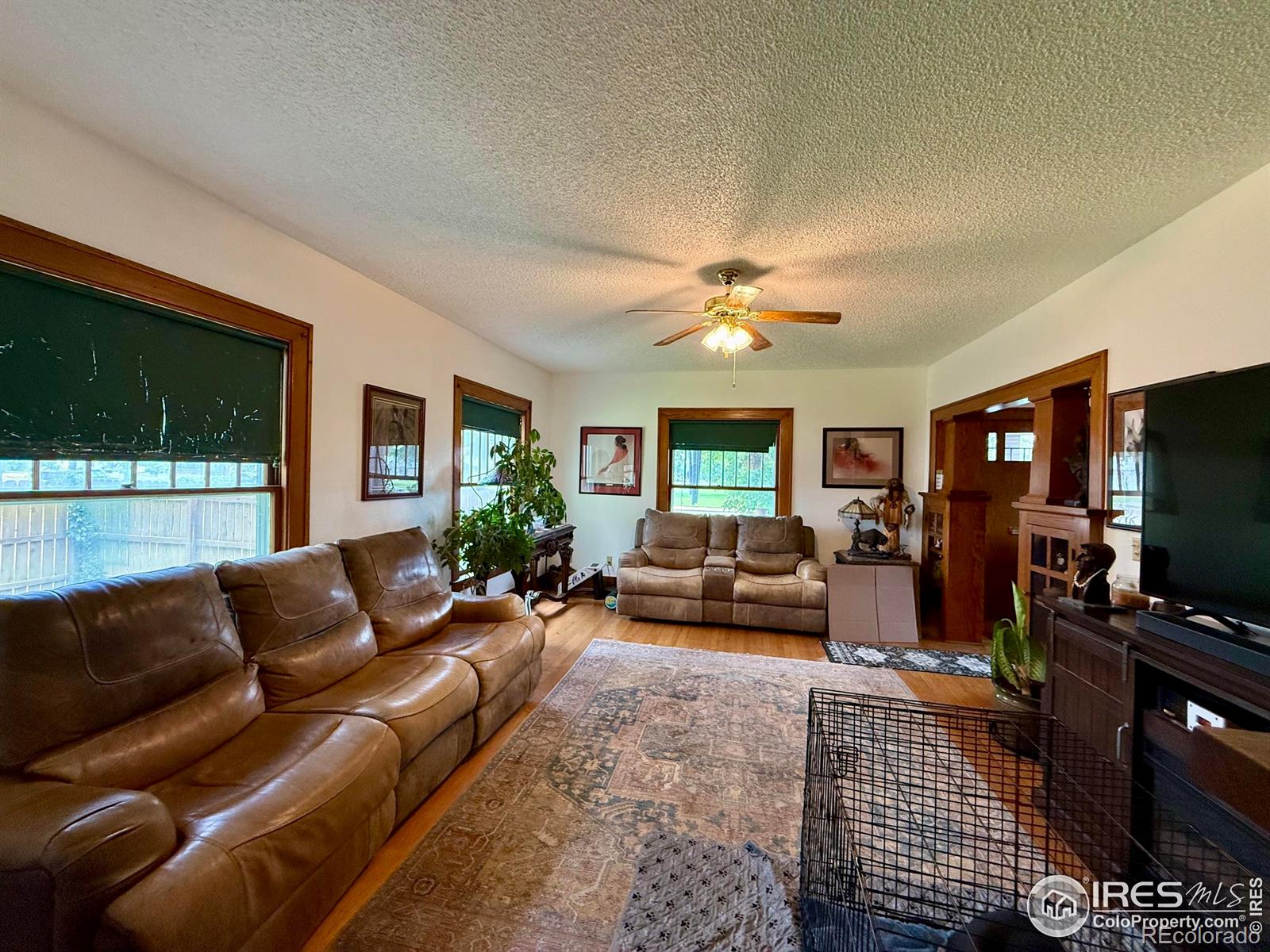 MLS Image #4 for 406 s morlan avenue,holyoke, Colorado