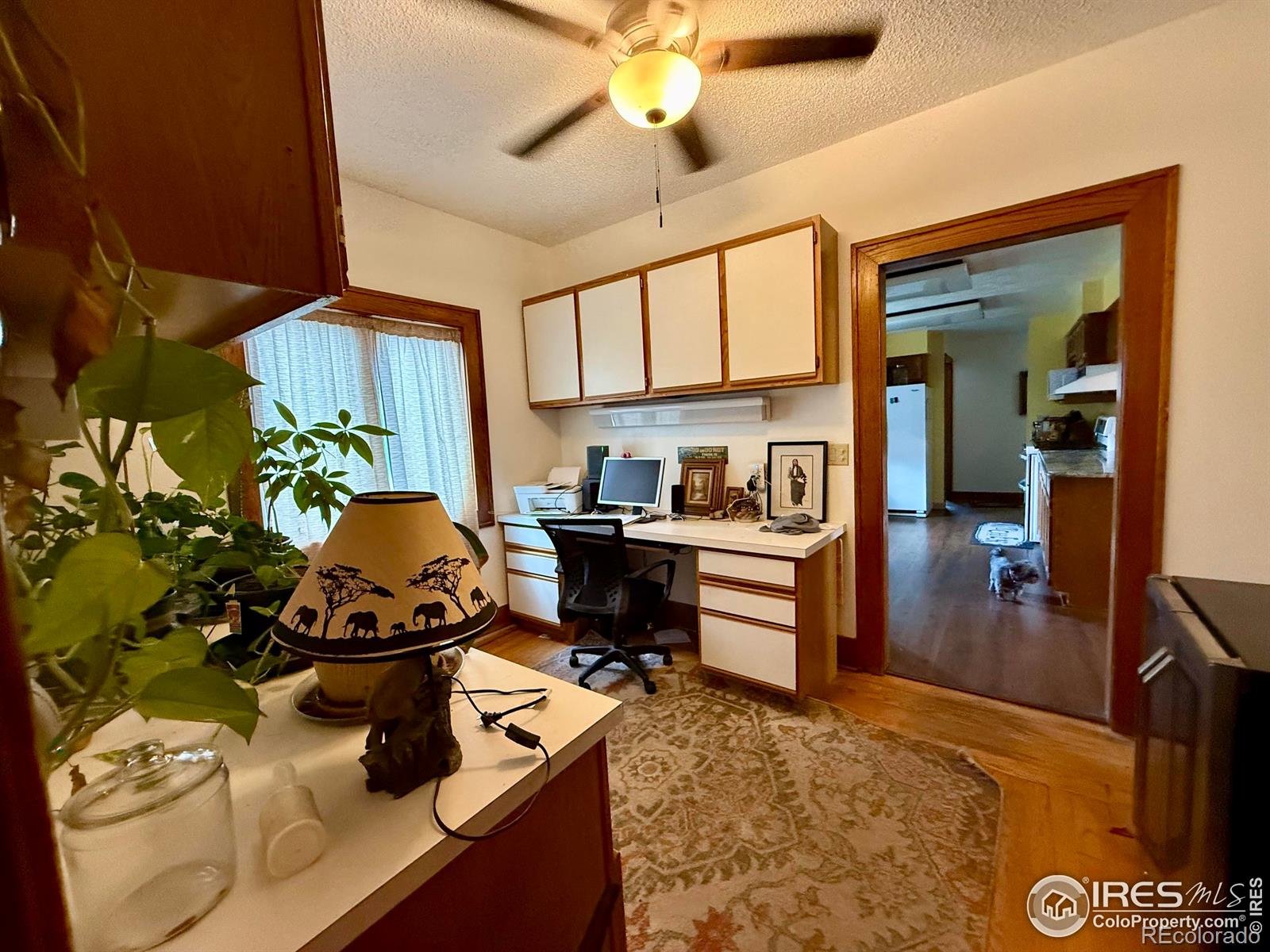 MLS Image #8 for 406 s morlan avenue,holyoke, Colorado