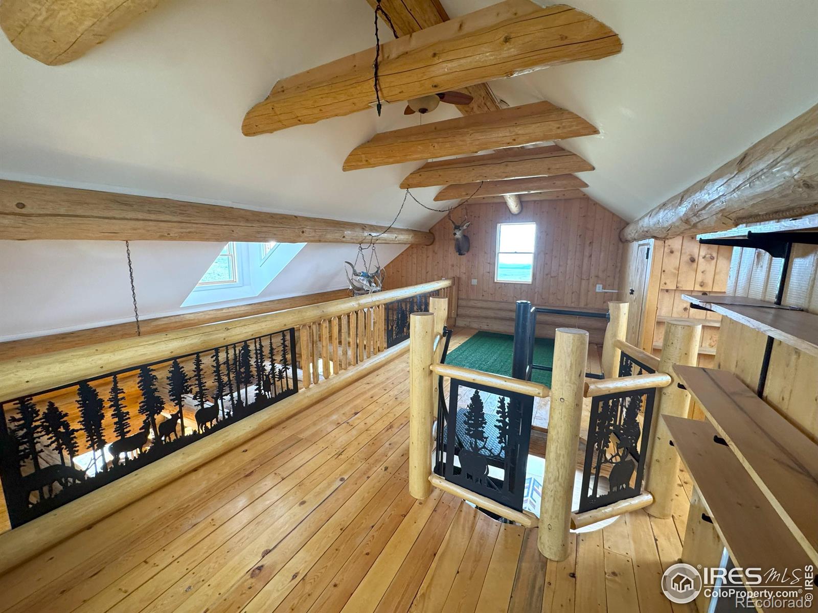 MLS Image #18 for 1675  hewlett gulch road,livermore, Colorado