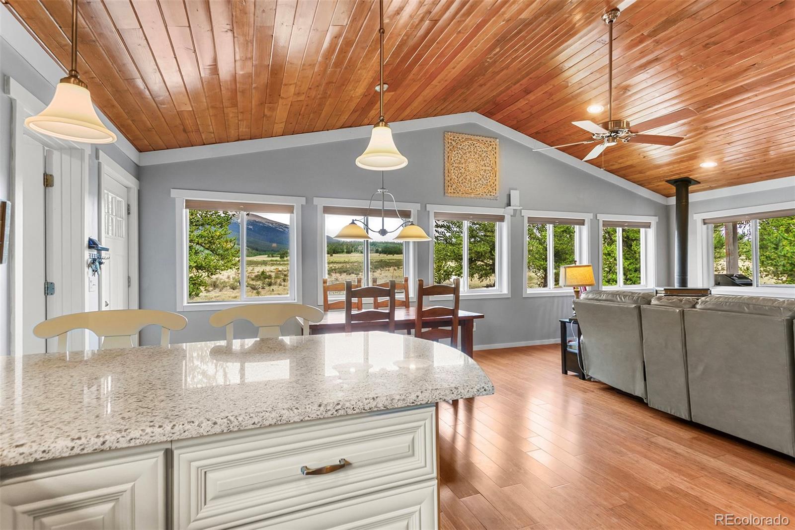 MLS Image #10 for 485  high creek road,fairplay, Colorado