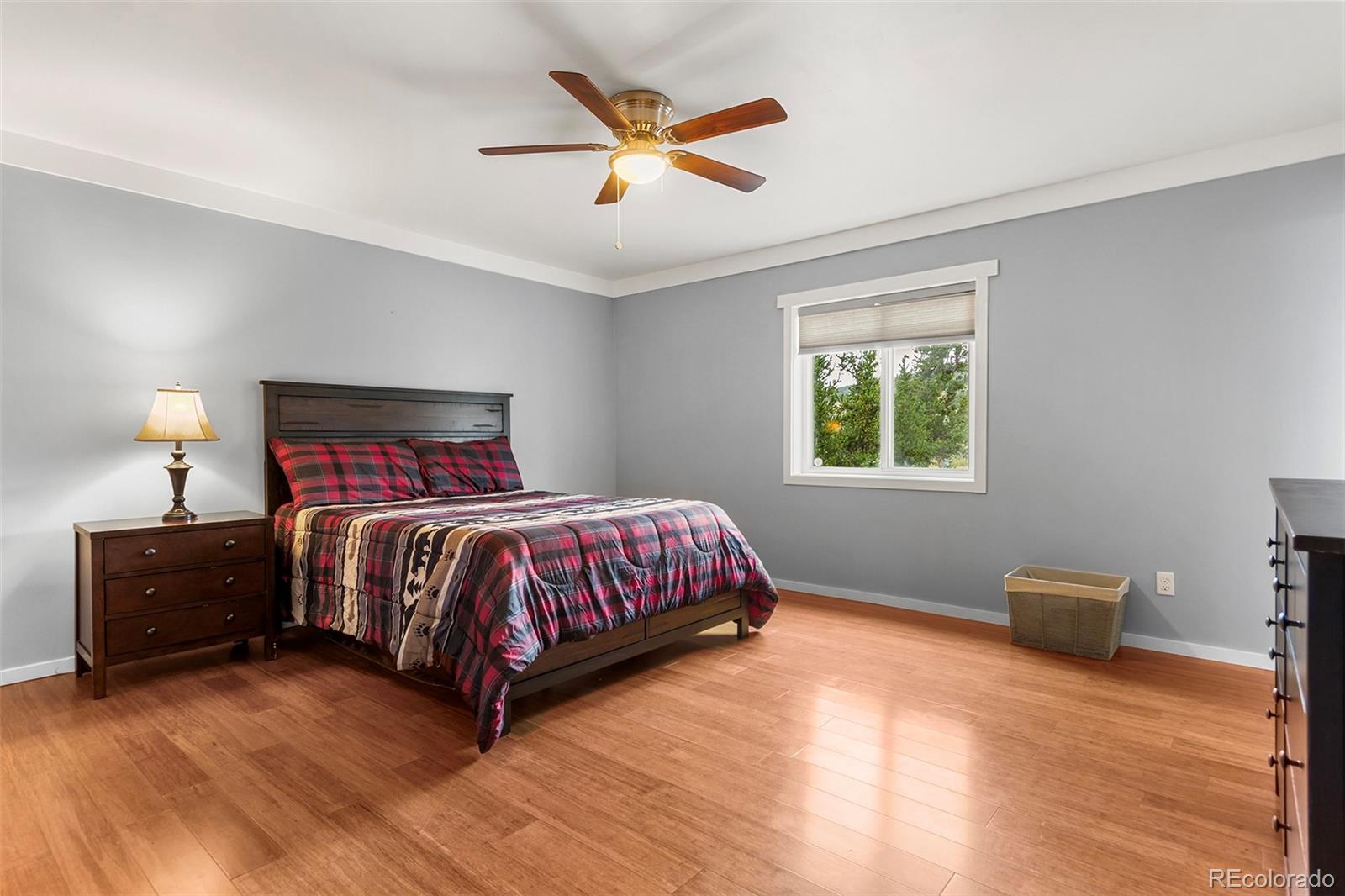 MLS Image #16 for 485  high creek road,fairplay, Colorado